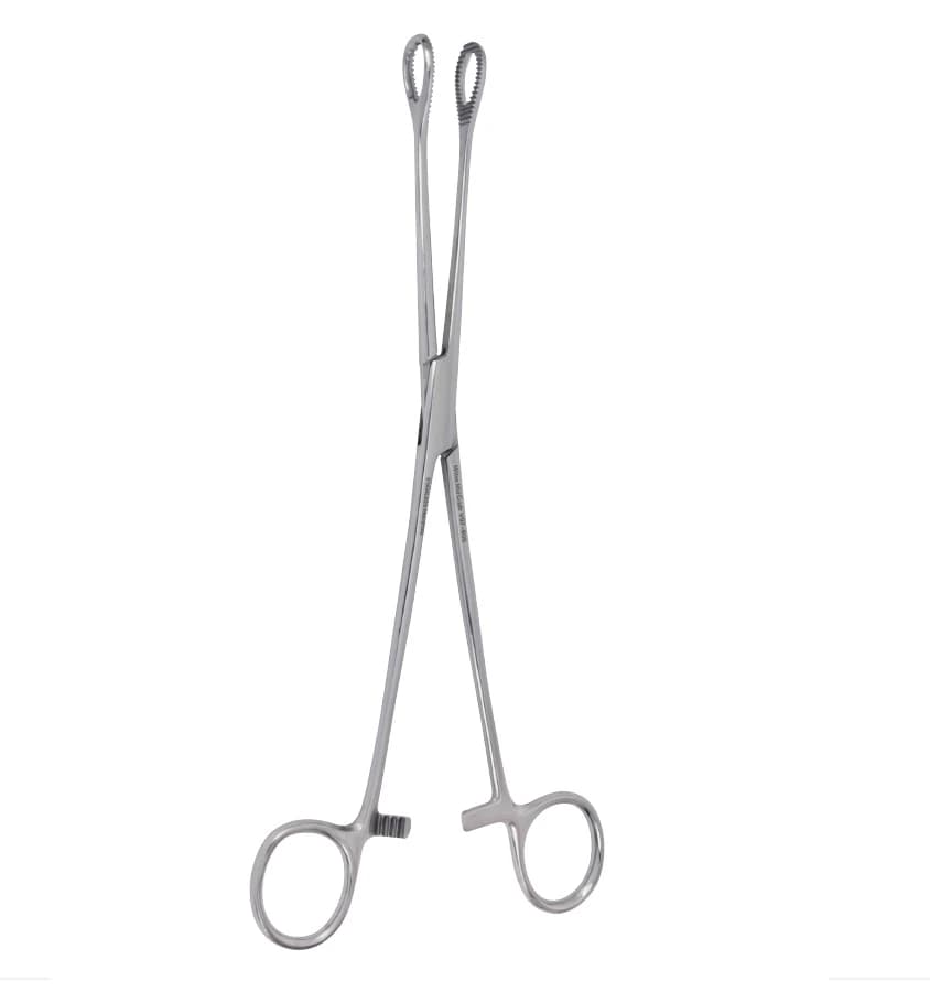 Vantage Foerster Sponge Forceps, 9.5" Straight, Serrated, Fenestrated Oval Tips, Stainless Steel, Nonsterile, Autoclavable, Each thumbnail 2