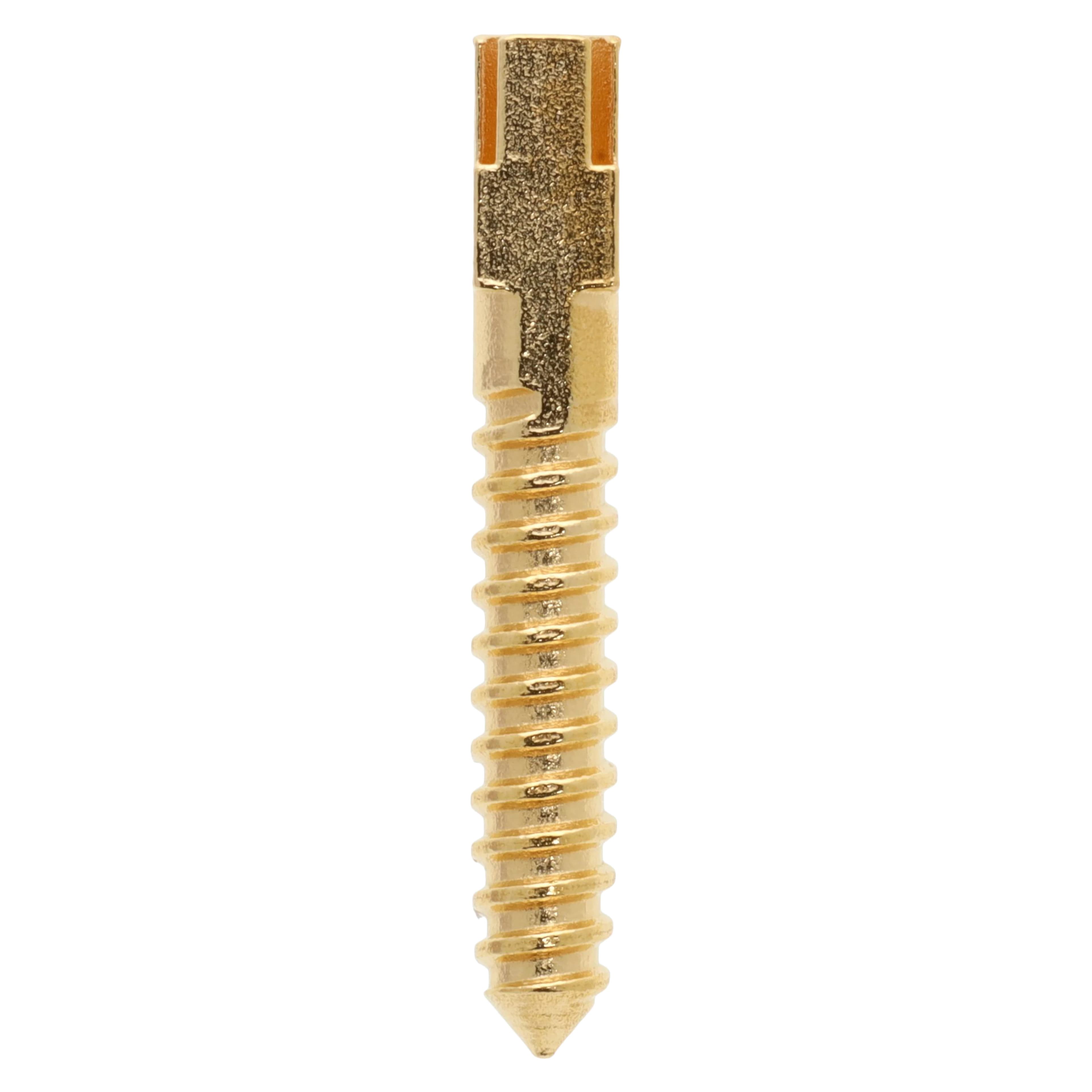 Henry Schein Gold-Plated Screw Posts, Long 12 mm, Refill, 12/Box - Screw Posts Refills - Image 1