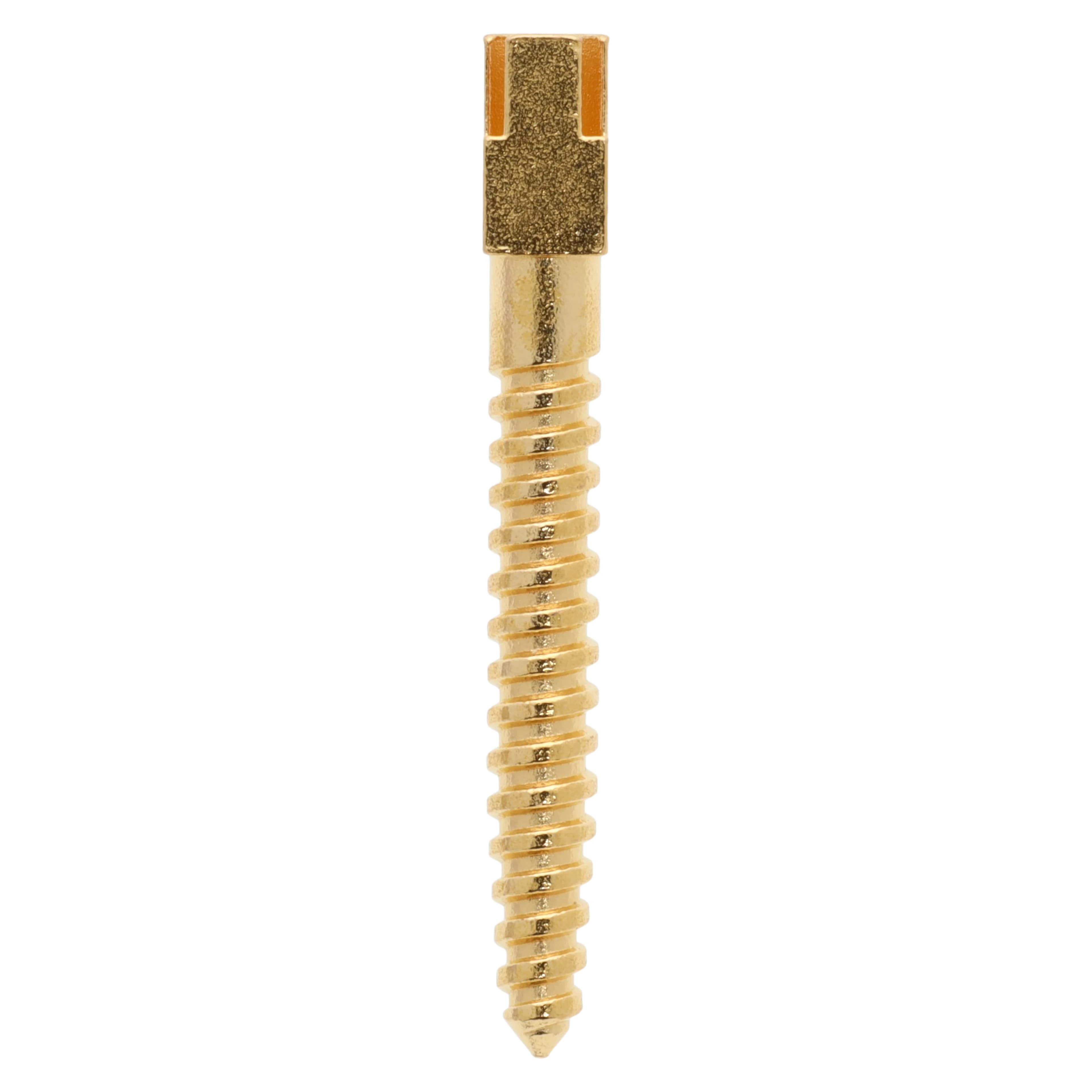 Screw Posts Gold Plated Refills, Extra Long, 14 mm, 12/Box - Screw Posts Refills - Image 1