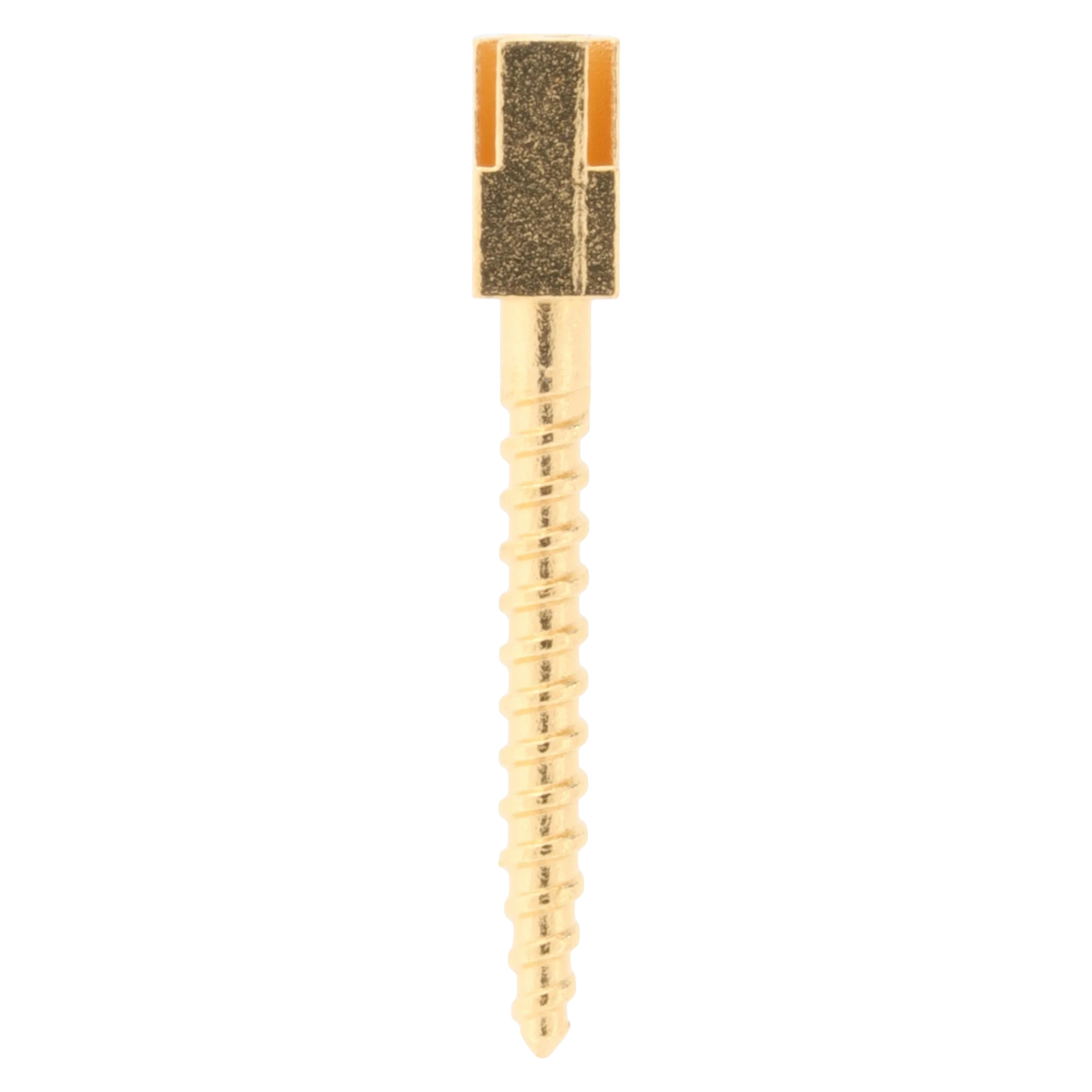 Henry Schein Gold-Plated Screw Posts, Long 12 mm, Refill, 12/Box - Screw Posts Refills - Image 1
