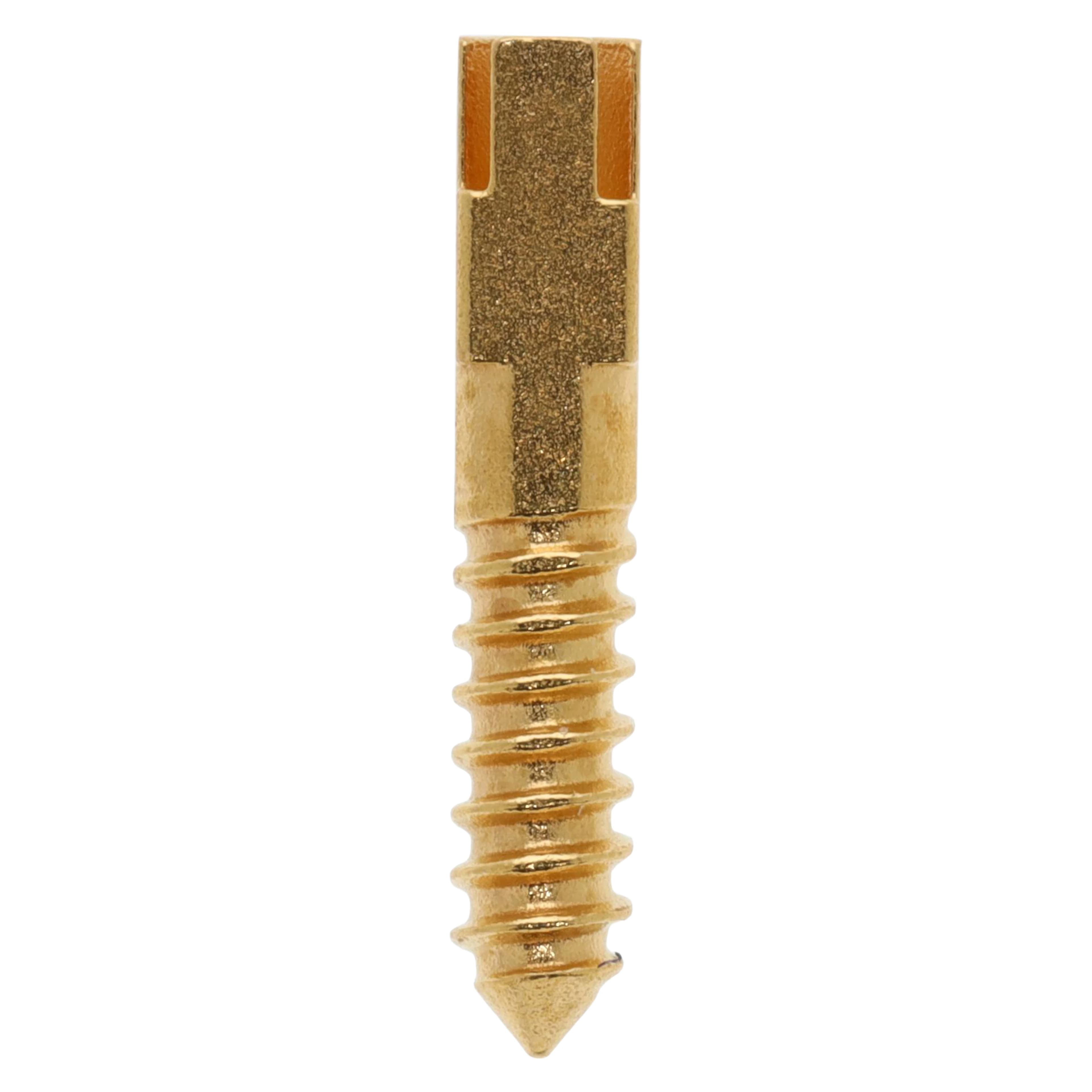 Henry Schein Gold Plated Screw Posts, Assorted Medium Kit, 12/Box - Screw Post Gold Plated - Image 1