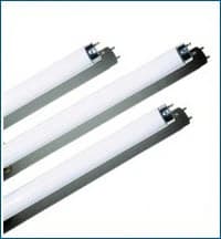Wolf X-Ray Fluorescent Replacement Bulb - Bulb Fluorescent Repl.f/p - Image 1