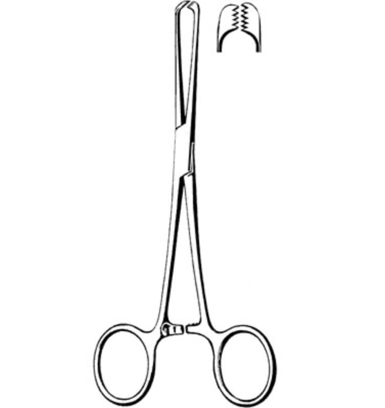 Sklar Merit Allis Tissue Forceps, Straight, 6" (15 cm), Stainless Steel, Each - Forcep Allis Tissue - Image 1