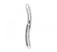 Miltex Hegar Uterine Dilator, 3/4 mm, 7-1/2" Length, Stainless Steel, Autoclavable, Reusable, Each - Dilator Uterine - Image 1