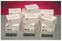 Stanbio RaPET RF Test Kit, Moderately Complex, 50 Tests/Kit - RaPET RF Test Kit - Image 1