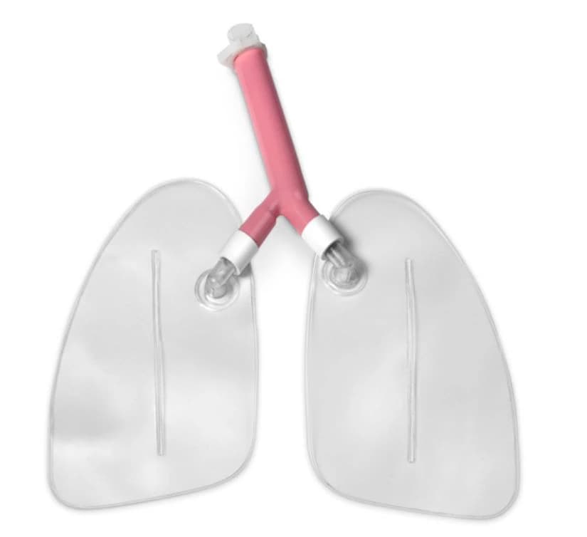 Life/form Airway Larry Airway Management Trainer Manikin Replacement Lung Kit - Lung Replacment Kit - Image 1