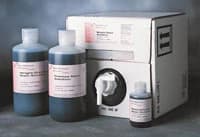 Richard-Allan Scientific Wright-Giemsa Stain Solution, 32 oz Bottle - Wright-Giemsa Stain Solution - Image 1