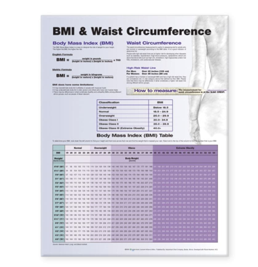 BMI & Waist Circumference Educational Chart, 20x26", Wolters Kluwer Health Inc - BMI & Waist Circumference - Image 1