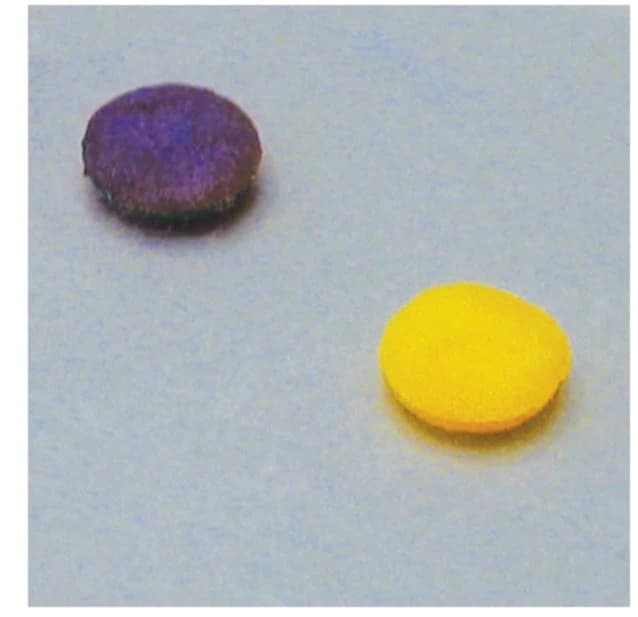 Remel Beta Lactam Reagent Test Vial with Ribbed Partitions, 25 Vials/Box - Beta Lactam Reagent Disc - Image 1
