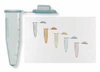 Fisherbrand Premium Microcentrifuge Tube, Polypropylene, 1.5mL, 40.6mm, Graduated, Orange, Snap Cap, Conical Bottom, Autoclavable, Disposable, 500/Pk - Microcentrifuge Tube .5mL Orng - Image 1