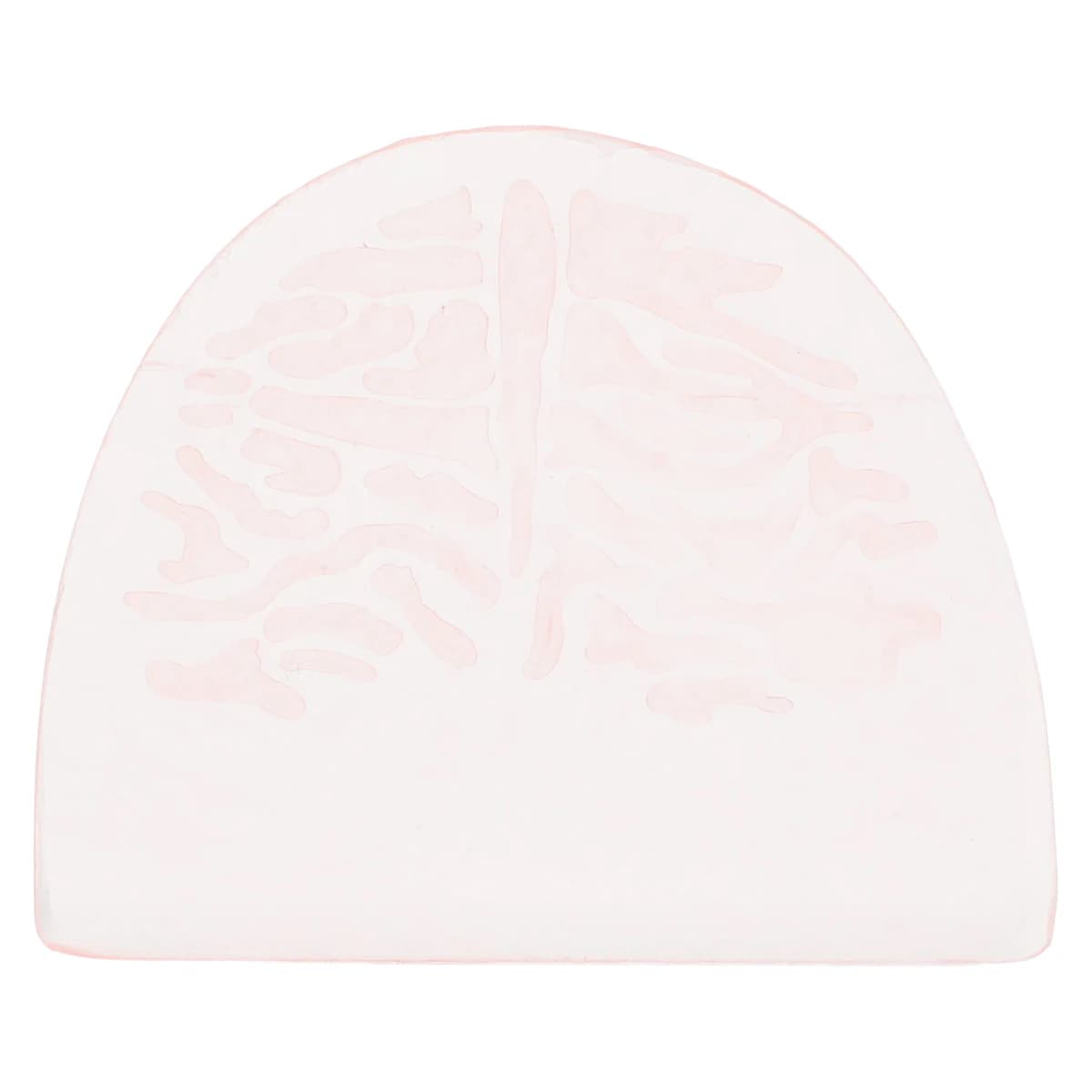 TCS Palate Wax, Pre-Formed, Approximately 4.5mm Thick, 80/Pk thumbnail 3