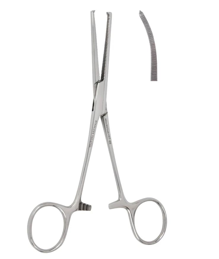 Vantage Kocher Forceps, Curved, 5-1/2" (14 cm), Stainless Steel, Each - Forcep Kocher Curved 5.5" - Image 1