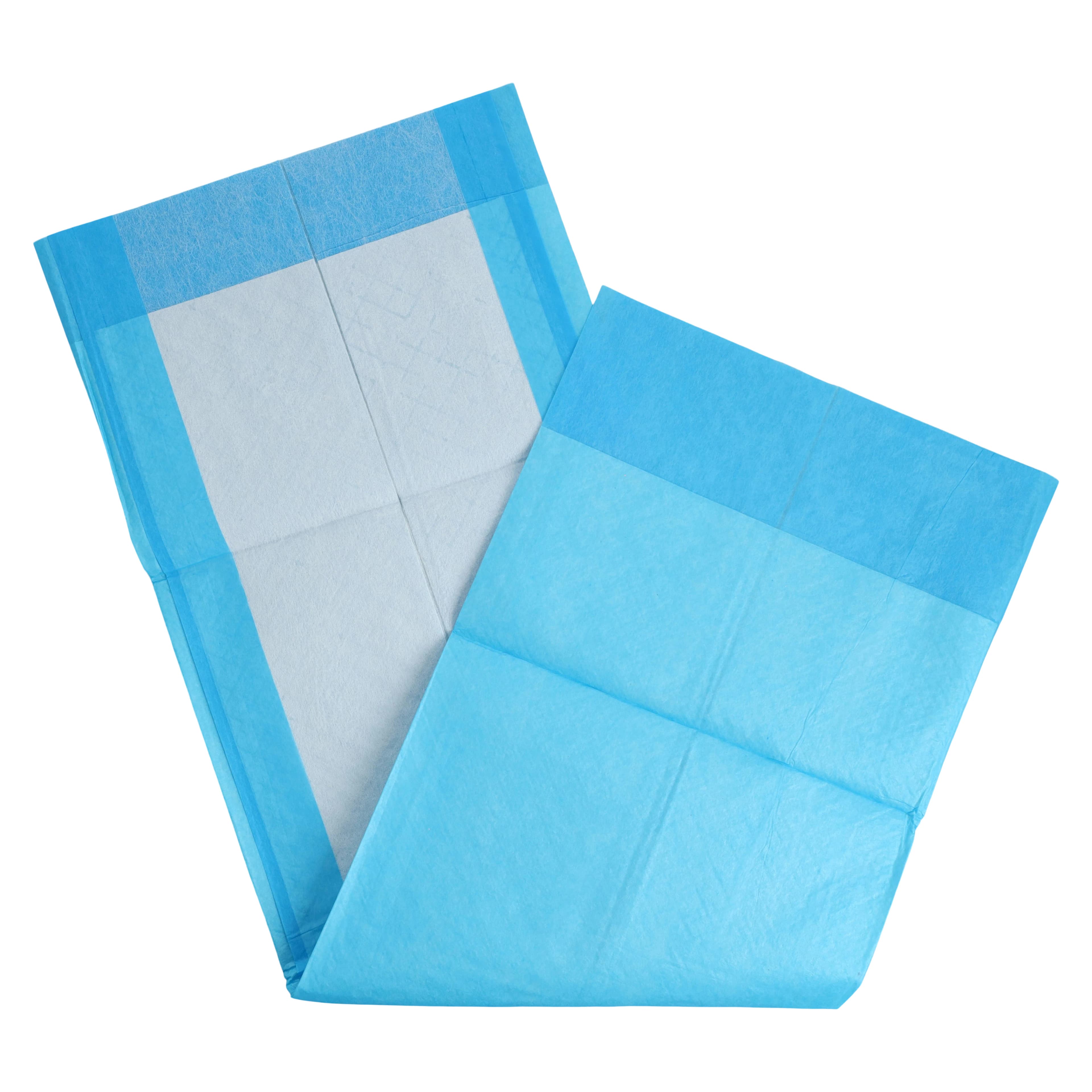 Henry Schein Incontinence Underpads, Disposable, Light Absorbency, 23x24", 2-Ply, White/Blue, 200/Ca - Underpads Disposable Light - Image 1