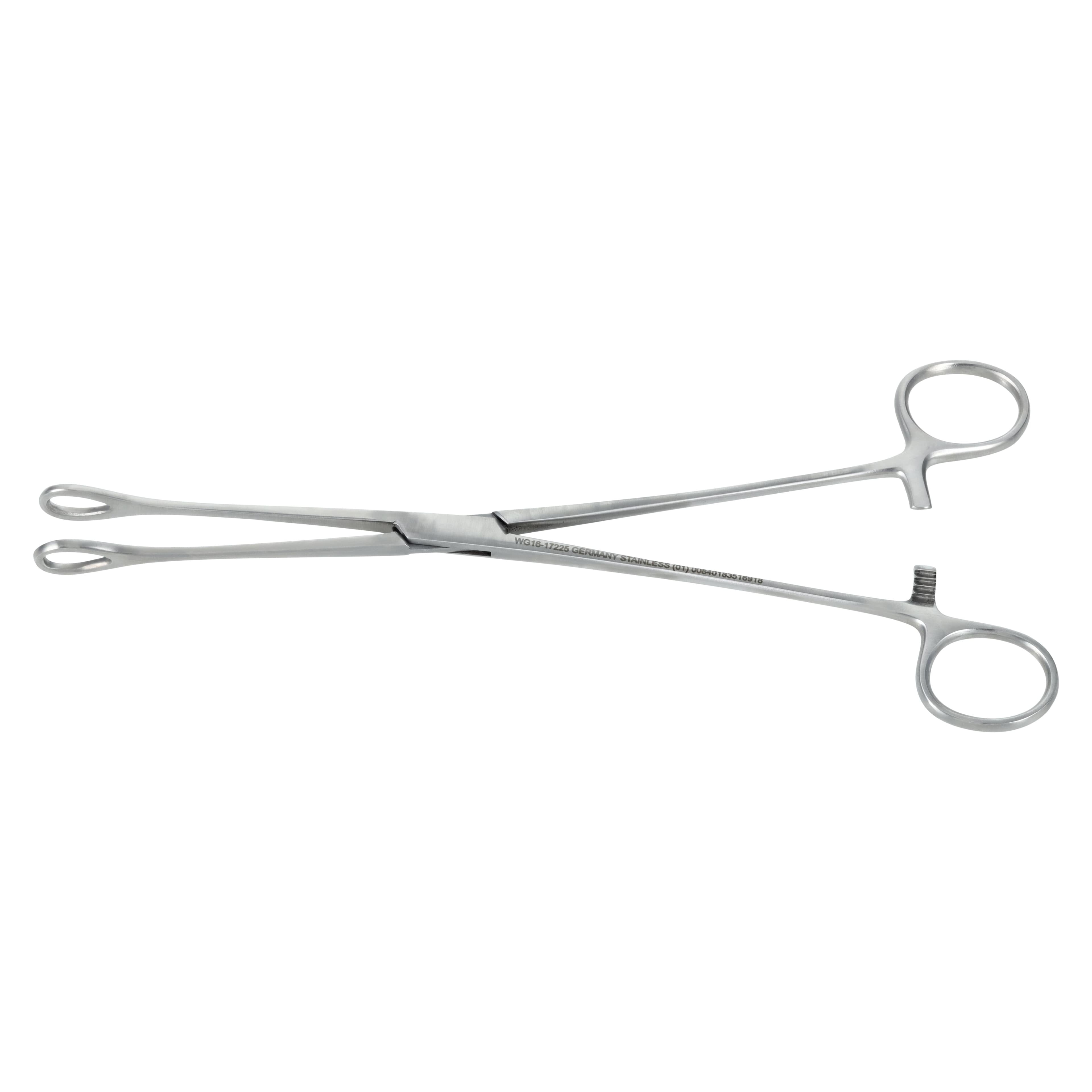 Foerster Sponge Forceps, Straight, 10" (25 cm), German Stainless Steel thumbnail 2
