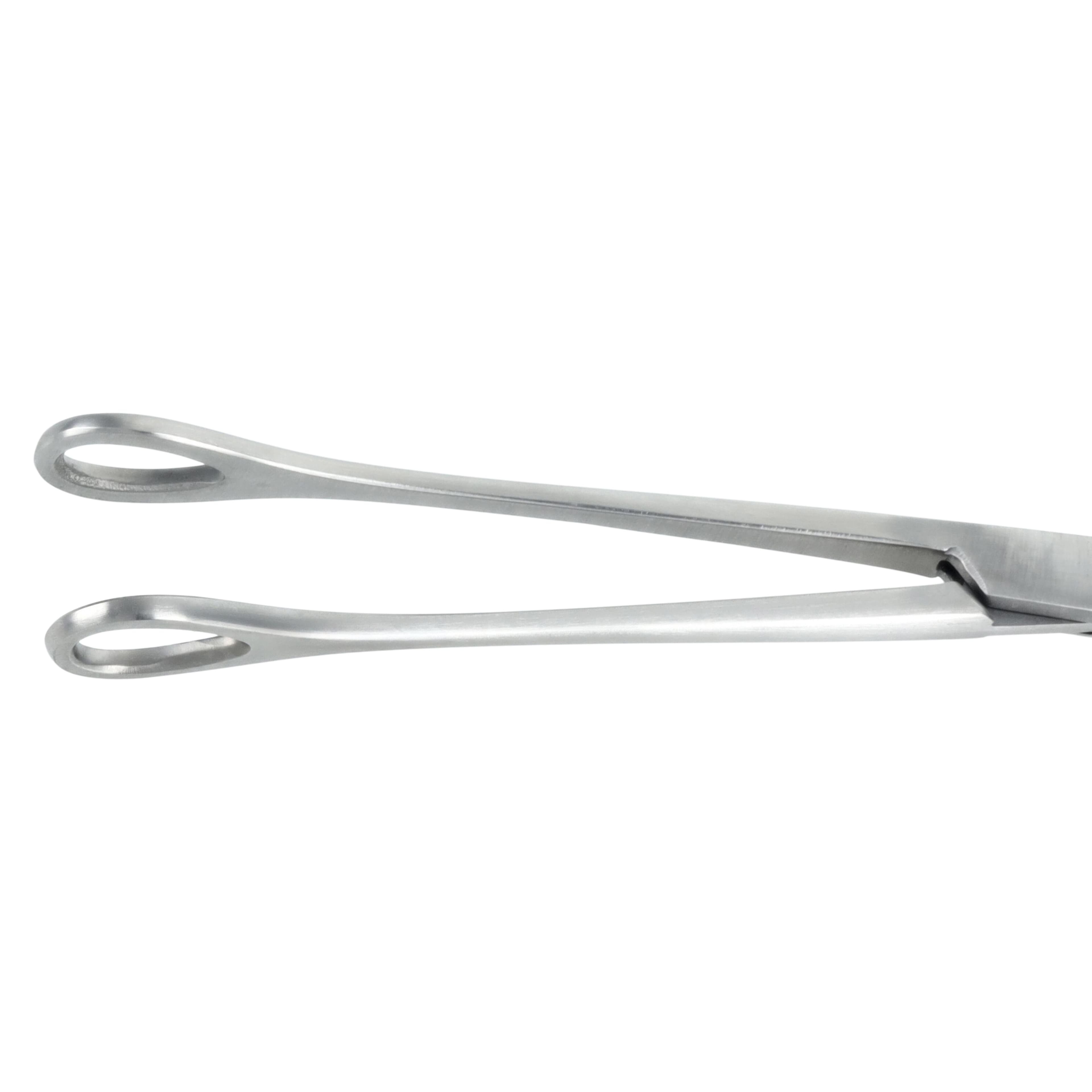 Foerster Sponge Forceps, Straight, 10" (25 cm), German Stainless Steel thumbnail 3