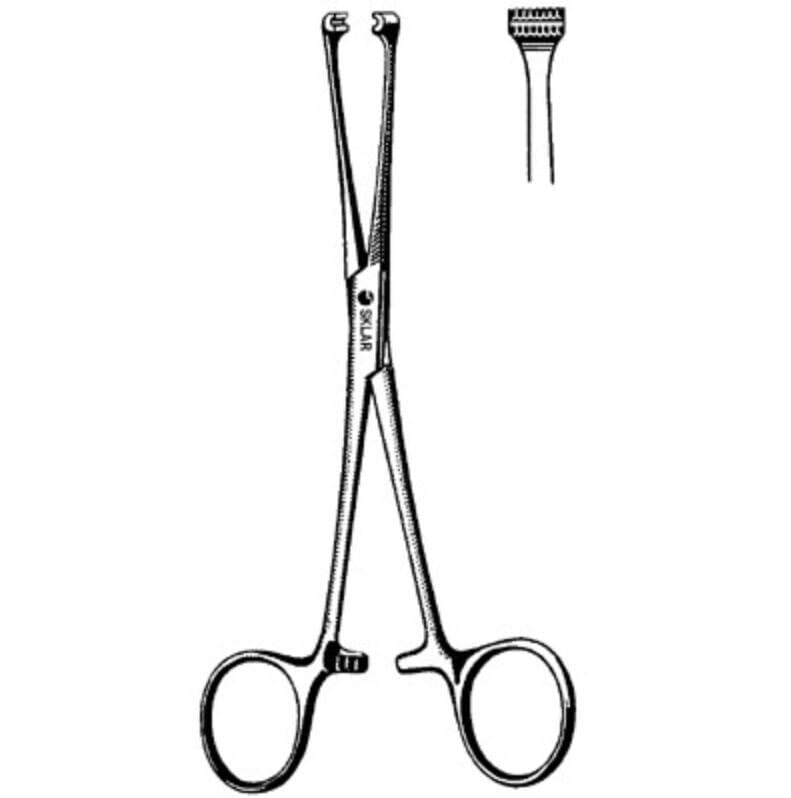 Sklar Instruments Allis Tissue Forcep, Straight, 10", Stainless Steel - Forcep Allis Tissue 10" - Image 1