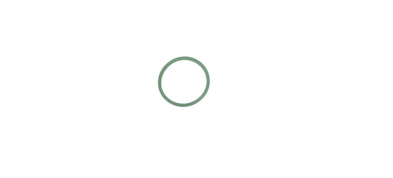 Tuttnauer Door Gasket for 2540 Series Autoclaves - Door Gasket f/2540m - Image 1