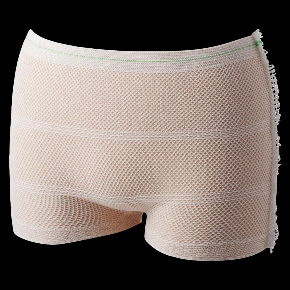 Protection Plus Incontinence Pants, Unisex Adult, Pull Up, Nonabsorbent, White, 32-48" Waist, 300/Ca - Pant Mesh Disposable - Image 1
