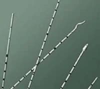 Bard Medical Urethral Catheter, Open Tip, Polyurethane, 4 Fr - Catheter Urethral Open Tip - Image 1