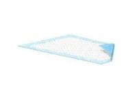 Attends Drisorb Underpad Heavy, Unisex, 23x36", Polymer/Soft Cloth-Like Topsheet, Blue, Latex-Free, 10/Bag - Drisorb Underpad Heavy - Image 1
