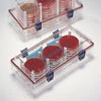 BD GasPak EZ Large Incubation Container, 30 Capacity, Each - GasPak EZ Large Incubation - Image 1