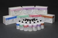 Lipoprotein (a) Calibrator for BioLis 24i, 5 x 1 mL, Carolina Chemistries - LP (A):Lipoprotein f/BioLis24i - Image 1