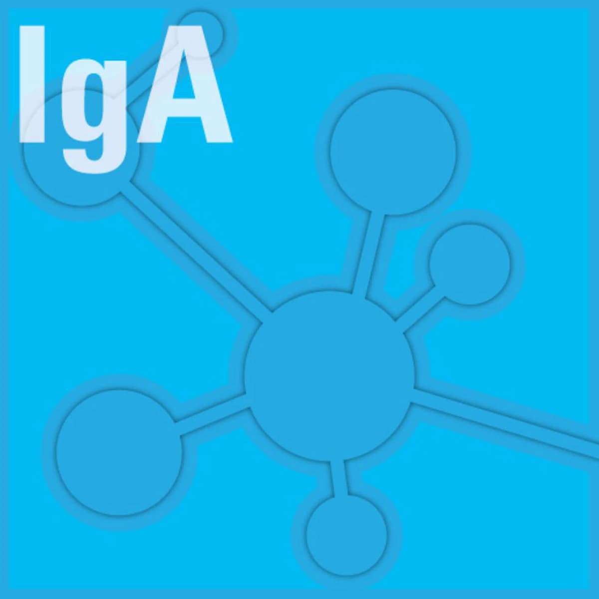 Sekisui IgA Immunoglobulin A Test Kit for Alera, R1: 4x20mL / R2: 2x10mL - IgA Test for Alera - Image 1