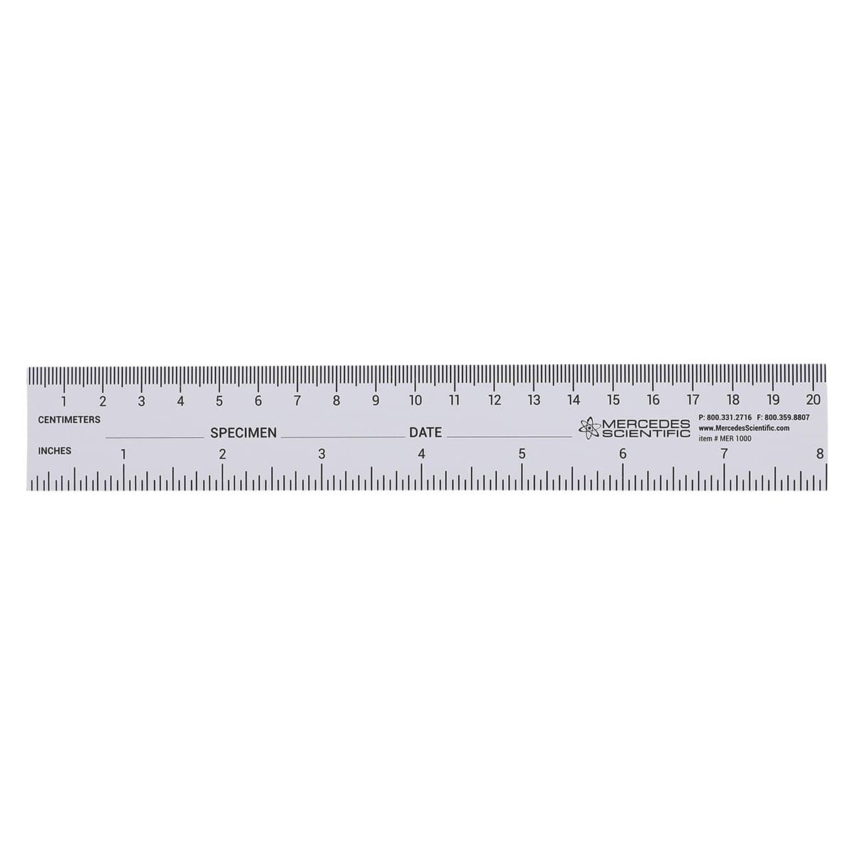 Specimen/Date Fields Ruler Paper, 250/Package thumbnail 2