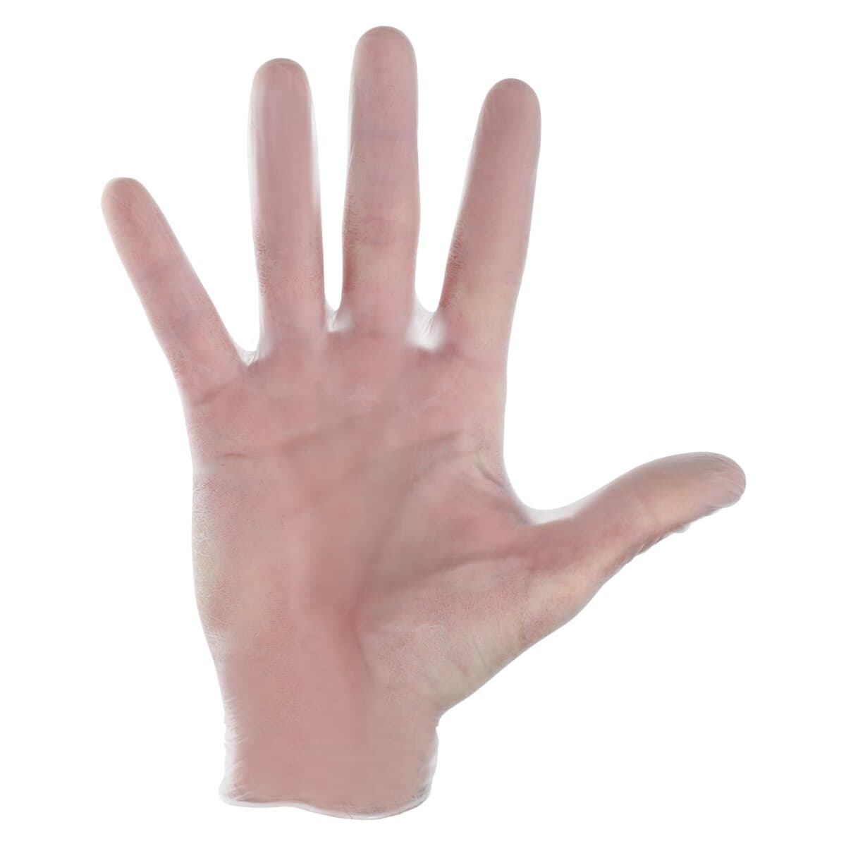 TG Medical SkinTX Vinyl Exam Gloves, Powder Free, Non-Sterile, Large, White thumbnail 3