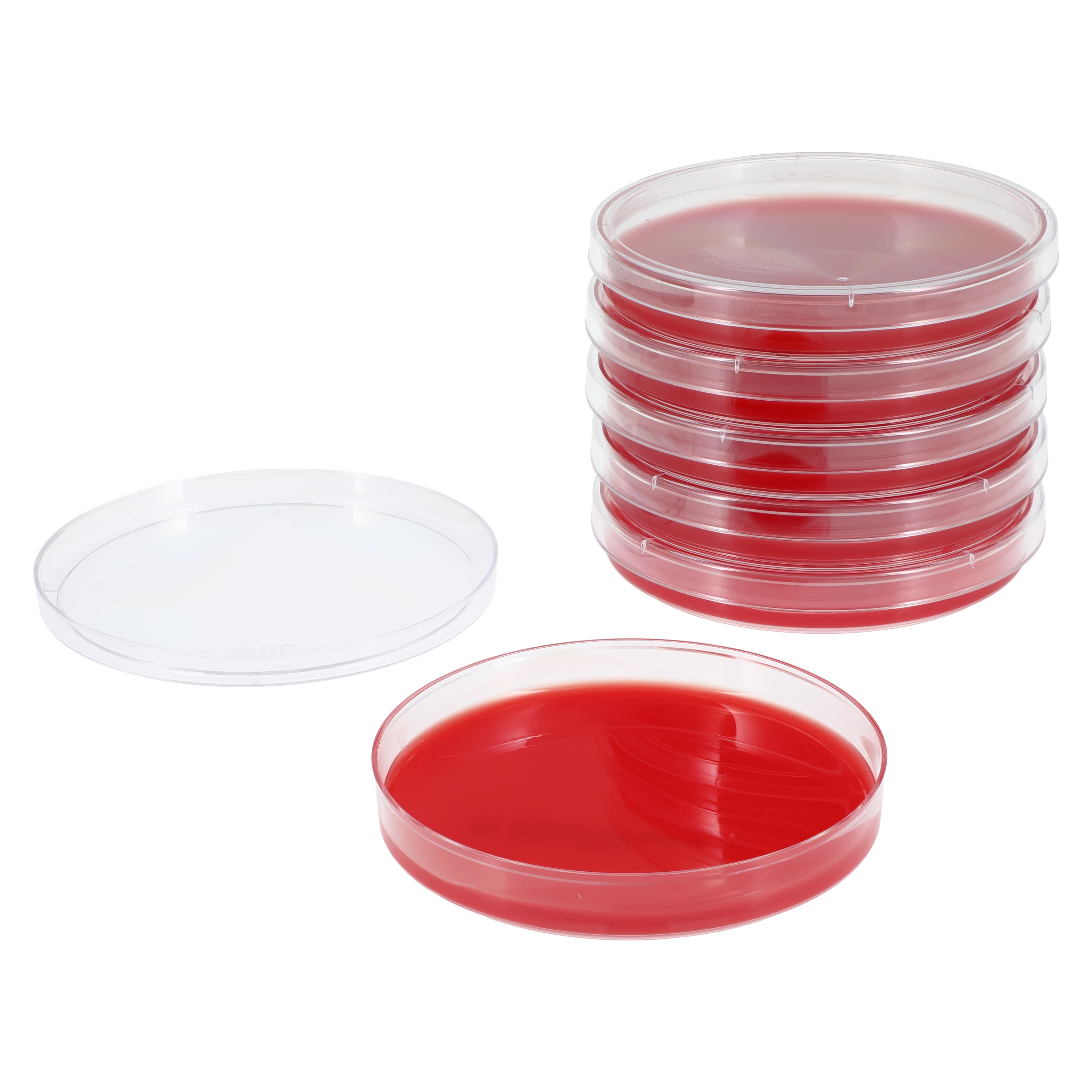 Trypticase Soy Agar (TSA) with 5% Sheep Blood Culture Plates, 15x100mm, 10/Pk thumbnail 2