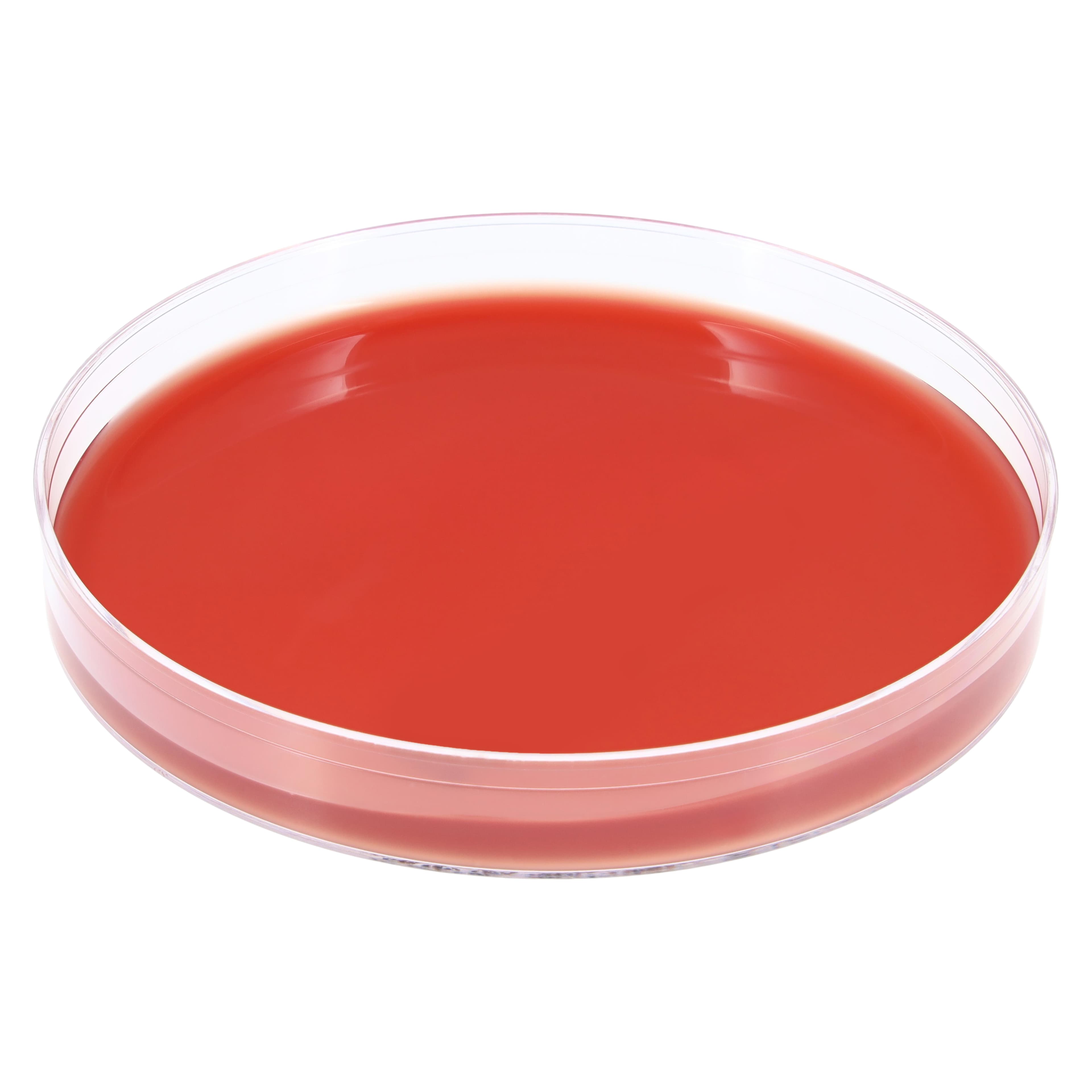 Trypticase Soy Agar (TSA) with 5% Sheep Blood Culture Plates, 15x100mm, 10/Pk thumbnail 3