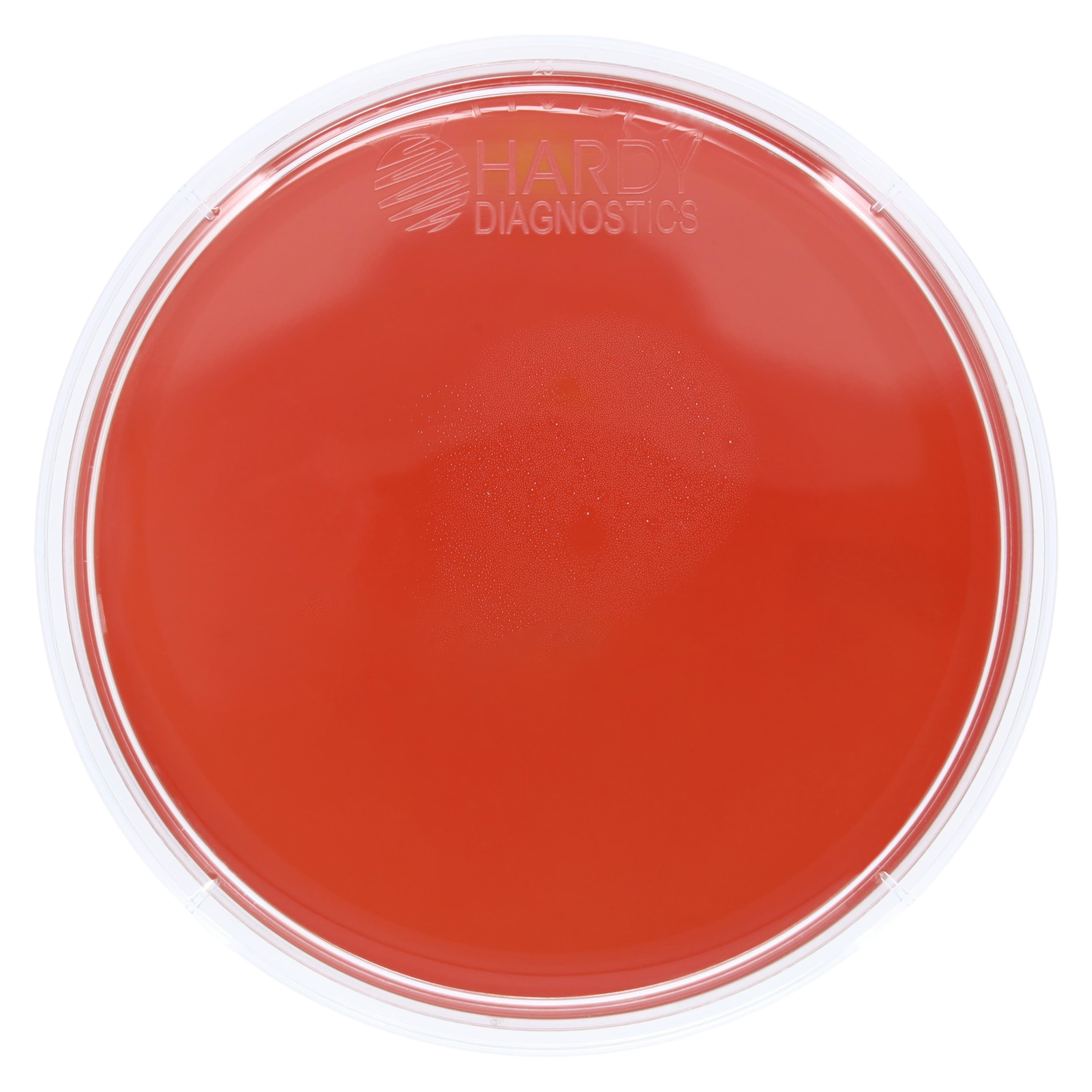 Trypticase Soy Agar (TSA) with 5% Sheep Blood Culture Plates, 15x100mm, 10/Pk thumbnail 4