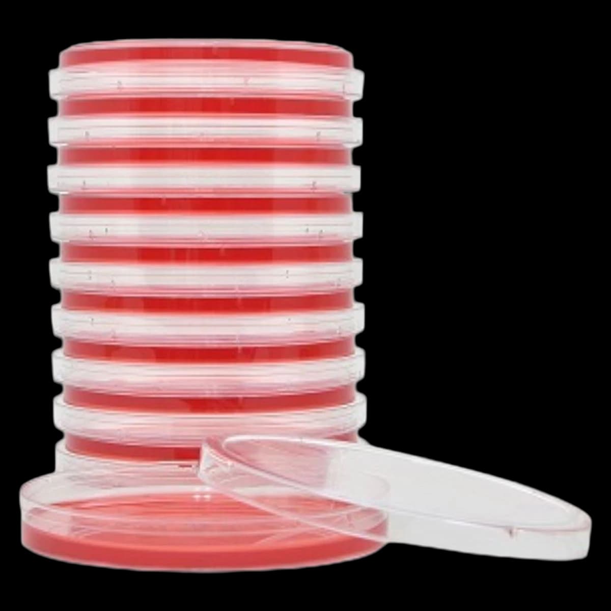 Hardy Diagnostics Mannitol Salt Agar Plate, 10/Package - Mannitol Salt Agar Plate - Image 1