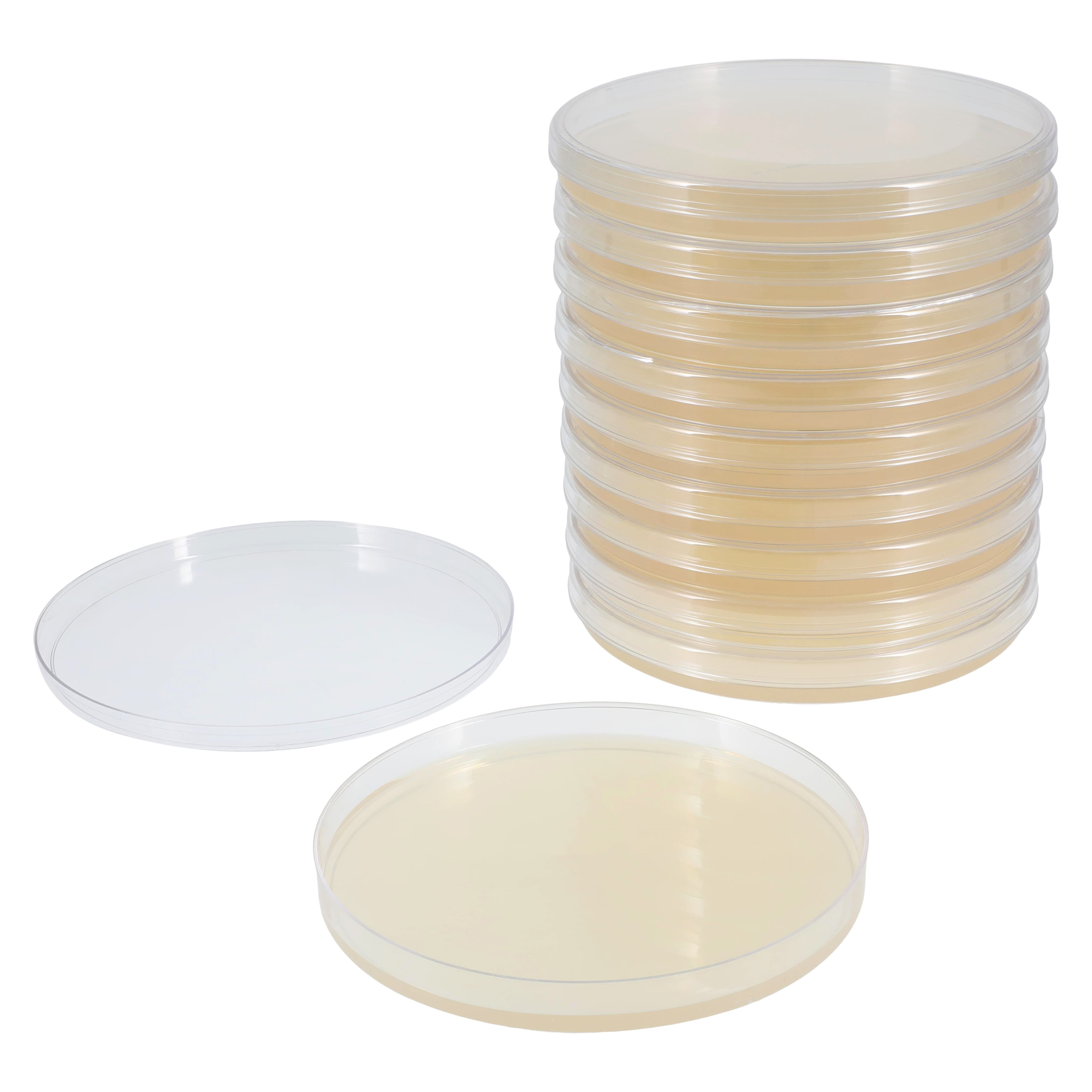Hardy Diagnostics Mueller Hinton Agar Plate, 15x150mm, 10/Package thumbnail 2