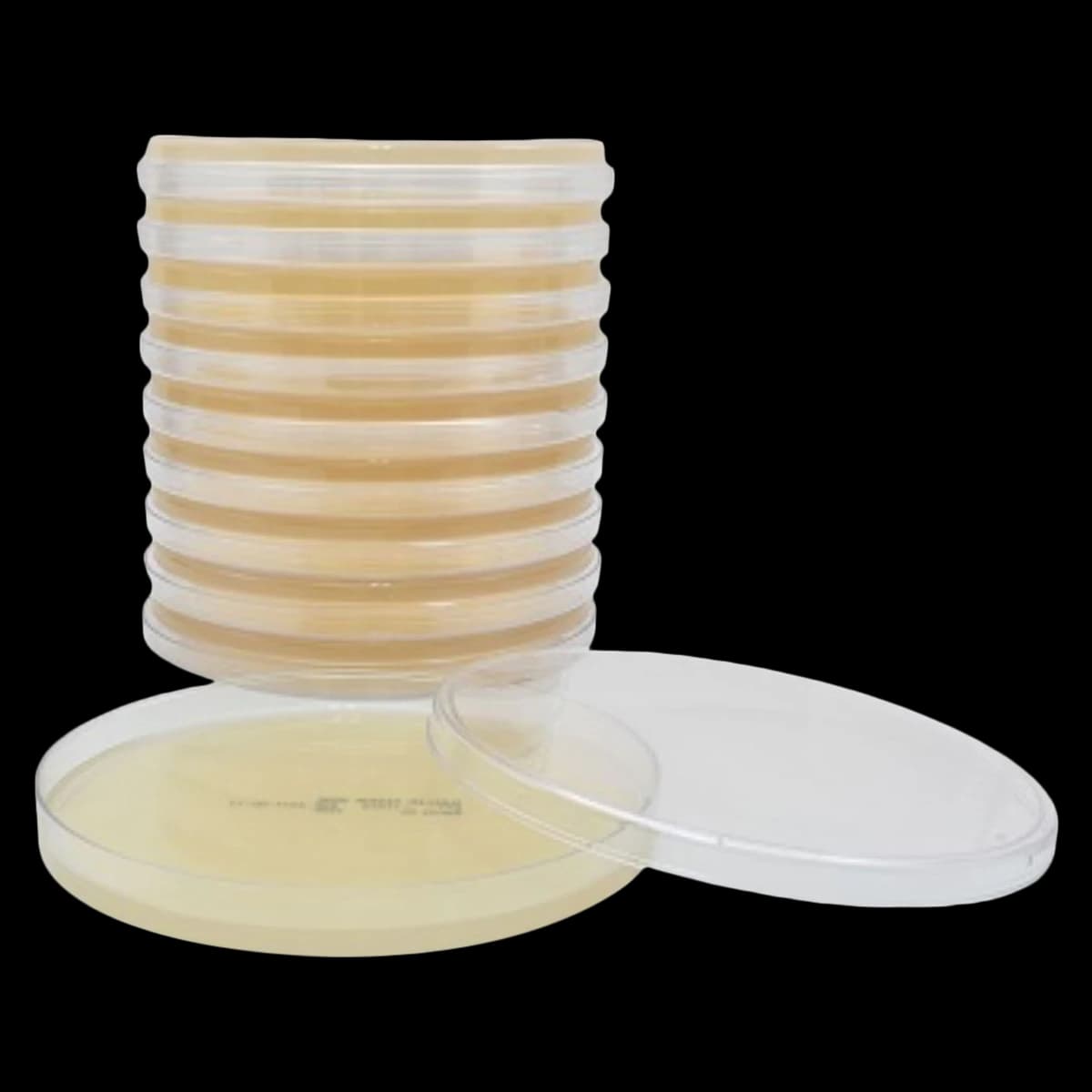 Hardy Diagnostics Mueller Hinton Agar Plate, 15x150mm, 10/Package - Mueller Hinton Plt - Image 1