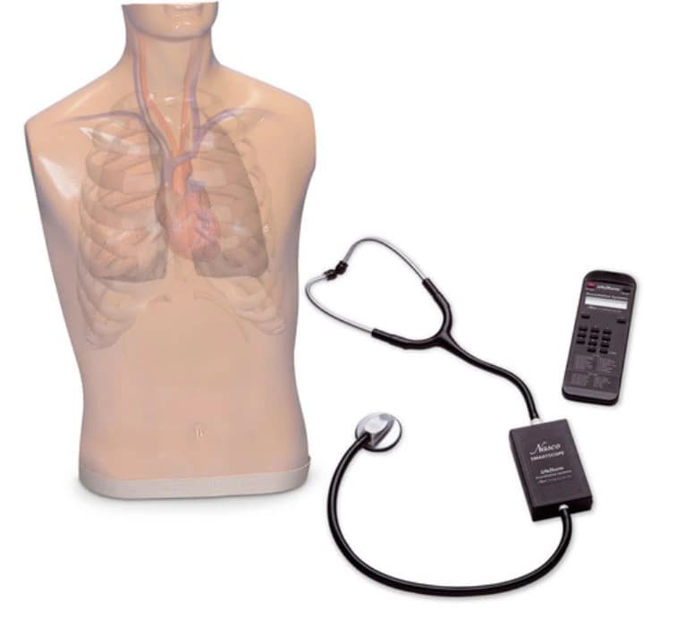 Nasco Life/form Auscultation Trainer with Amplifier/Speaker System - Model Ausculation Trainer - Image 1