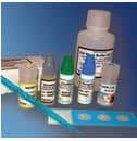 Merifluor Crypto/Giardia Detection Kit, 50 Tests, Meridian Bioscience - Crypto/Giardia Merifluor - Image 1