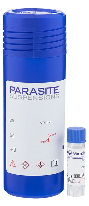 Microbiologics Trichuris trichiuria Parasite Control, 1 mL - Trichuris trichiuria Parasite - Image 1