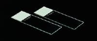 Premiere Frosted Microscope Slides, 3x1", White, Positively Charged, 1440/Case - Slide Adhesive + Charged White - Image 1