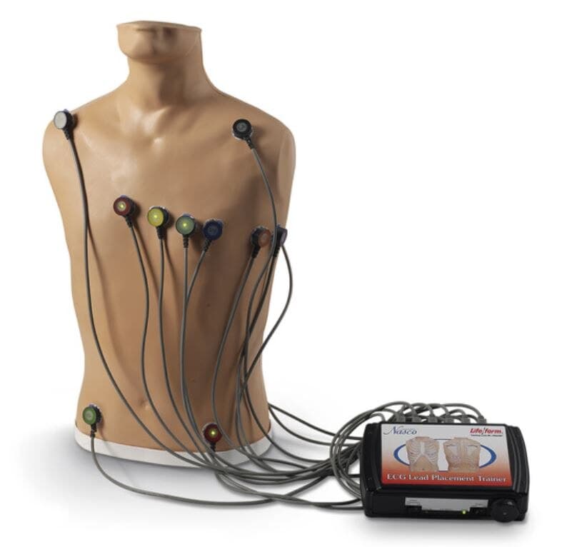 Life/form ECG Crisis Trainer, 15-Lead Placement, Each - Trainer ECG Plcmt Life/Form - Image 1