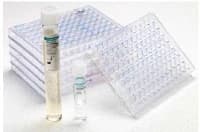 Microscan Mueller Hinton Broth, 25mL, 10/Box - Microscan Mueller Hinton Broth - Image 1