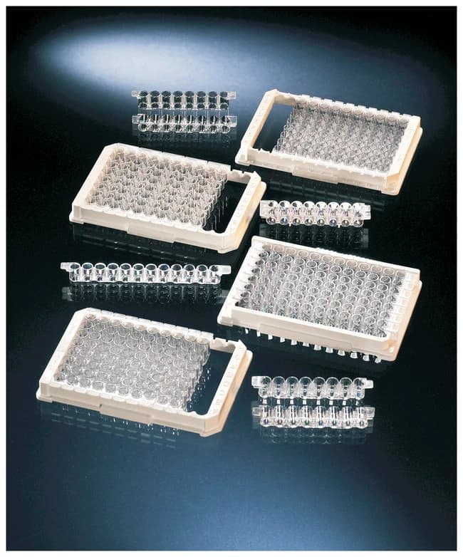 Immulon 4 HBX Flat Bottom Strip, 12-Well Removawell, 0.38 mL, 320/Case - Immulon 4 HBX Strip Flat Bottm - Image 1