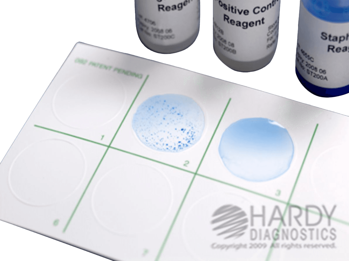 StaphTEX Latex Test Blue, Staphylococcus aureus Test, 50 Tests/Kit - StaphTEX Latex Test Blue - Image 1