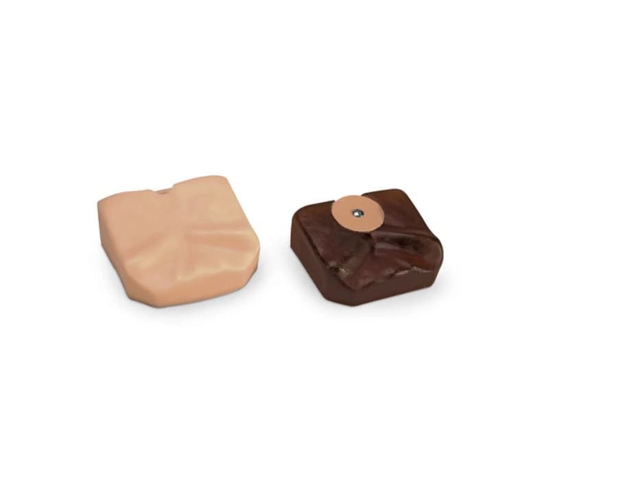 Skin Replacement FAST! Trainer Replacement Skin - Skin Replacement FAST! - Image 1