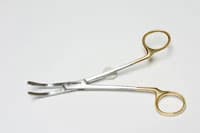 Hager/Wynman Crown Holder, Stainless Steel with Gold Handle, 01KEZKNKGD36TSVDJ7D0XMF8XY - Hager/Wynman Crown Holder - Image 1