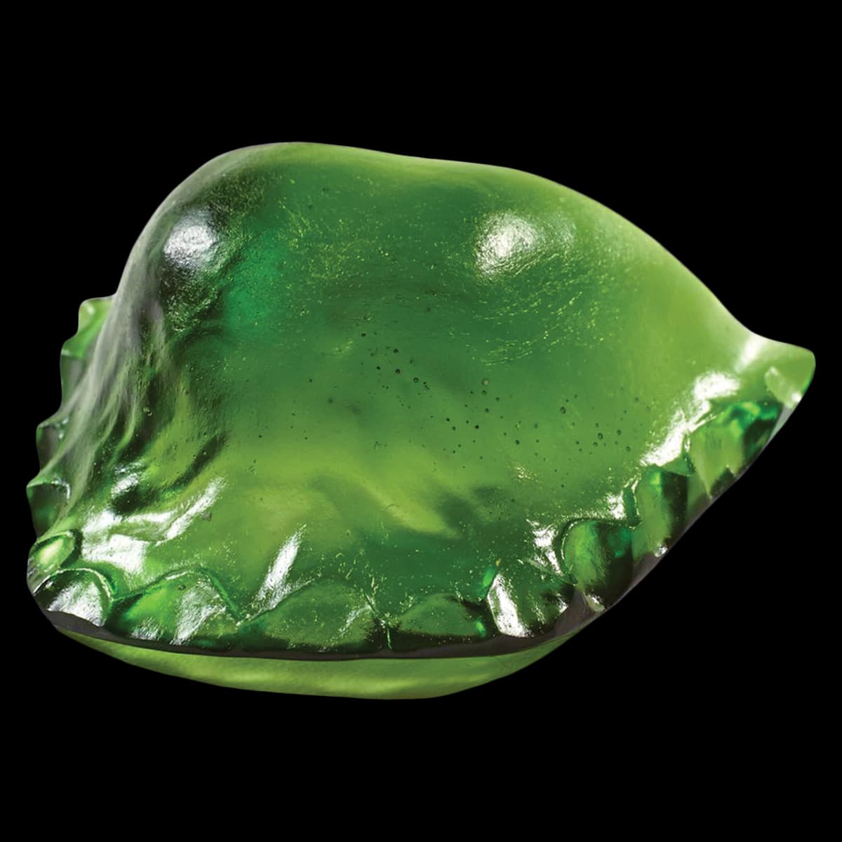 Ortho-Jet Liquid, Orthodontic Resin, Self-Cure, Green, 240ml/Bottle - Ortho-Jet Liquid - Image 1