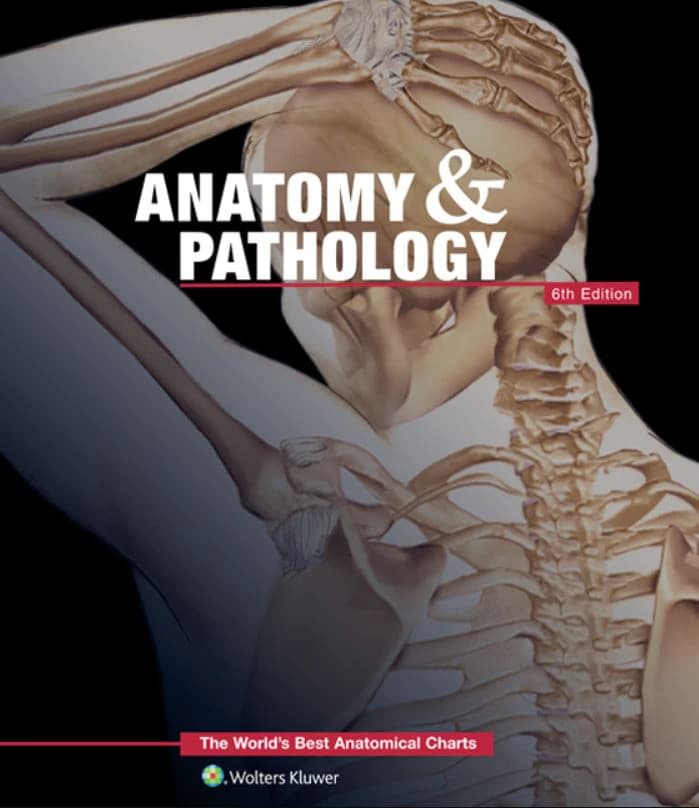 Anatomy and Pathology: The World's Best Anatomical Charts Educational Book, 6th Edition - Book Anatomy & Pathological - Image 1