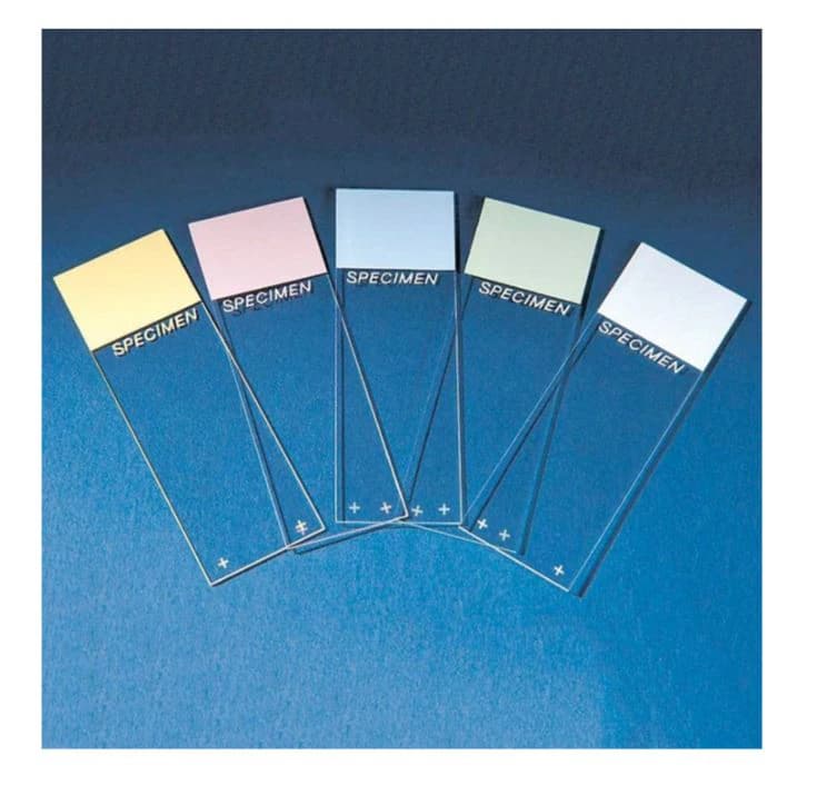 Cardinal Health ColorFrost Plus Frosted Microscope Slides, 3x1", Yellow, Positive Charge, 1440/Case - Slide Colorfrost Plus Yellow - Image 1