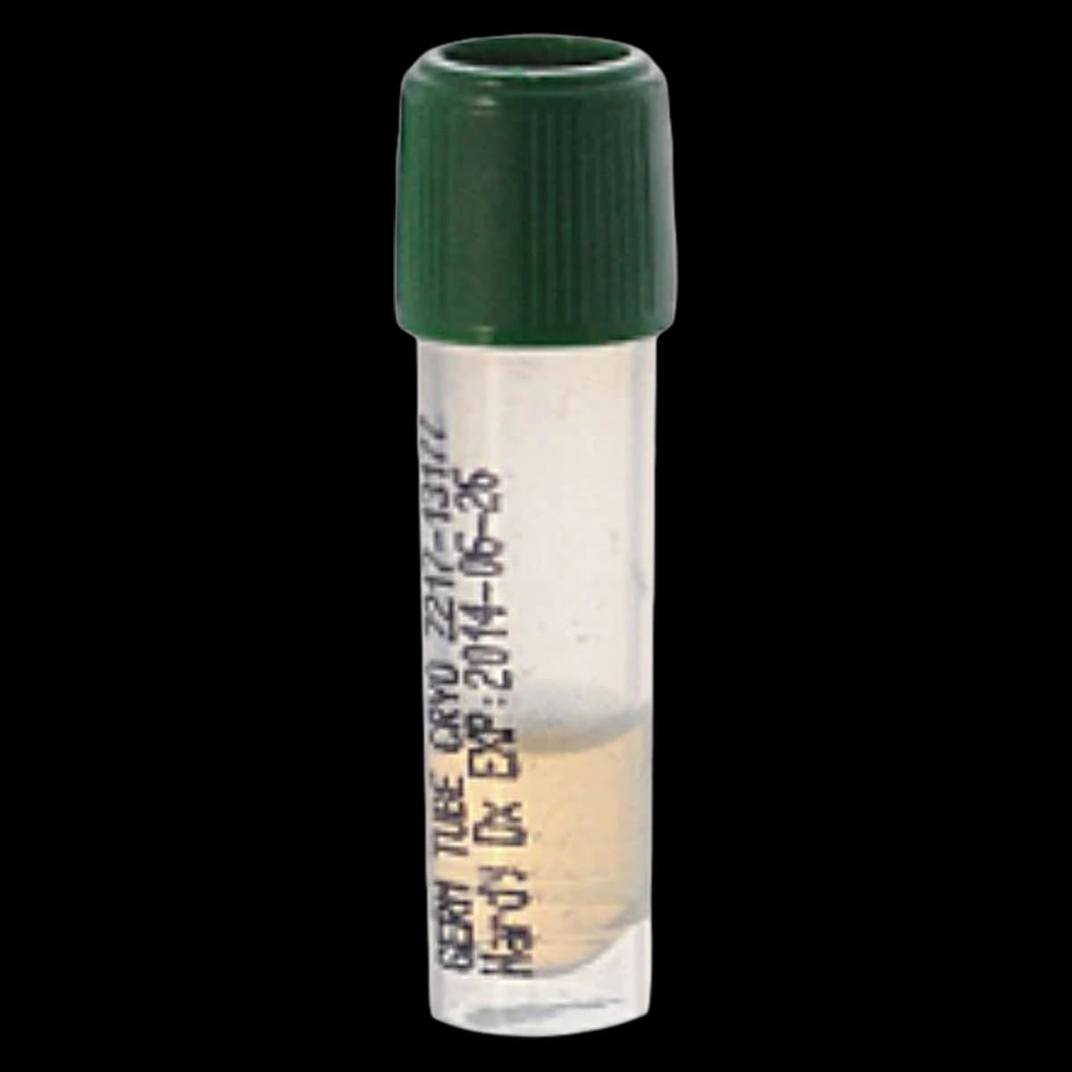 Hardy Diagnostics Cryo Germ Tube for Candida albicans, 0.5 mL, 20/Package - Animal Serum Germ Tube - Image 1