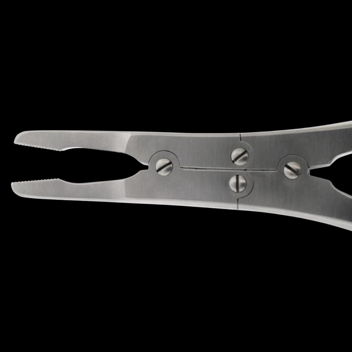 Rubin Septal Forceps, 8" - Forceps Rubin Septum Crushing - Image 1
